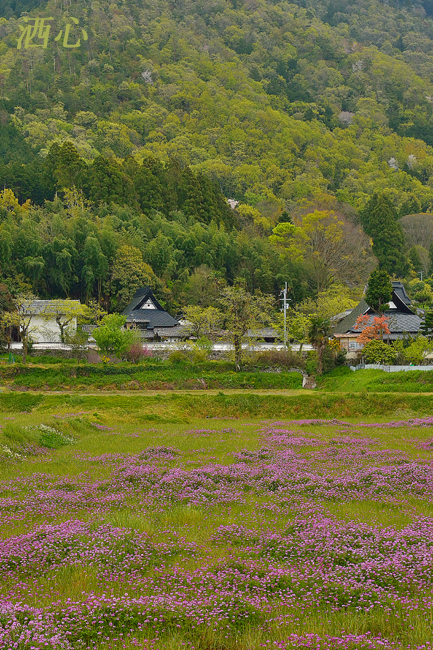 f:id:inuwan33:20200426220702j:plain