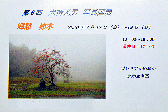 f:id:inuwan33:20200714211615j:plain