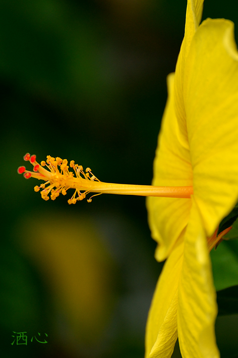 f:id:inuwan33:20200906130615j:plain