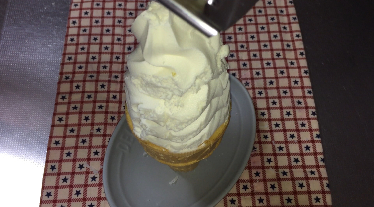 f:id:inuwanhime:20210614085233j:plain