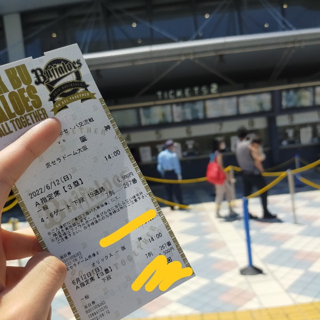 オリックスvs阪神交流戦6月13日(木)S指定席前方2枚連番
