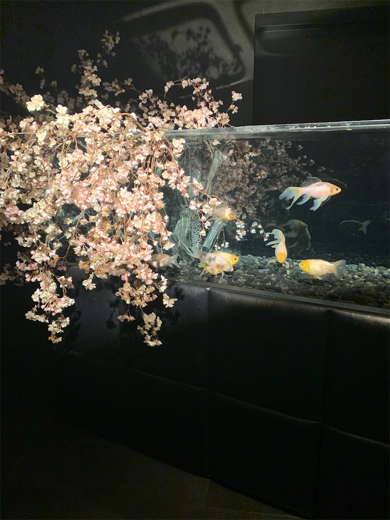 f:id:investor_tanuki:20210403164801j:image f:id:investor_tanuki:20210403164801j:image