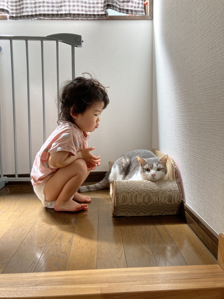 f:id:ioch:20210401112410j:plain