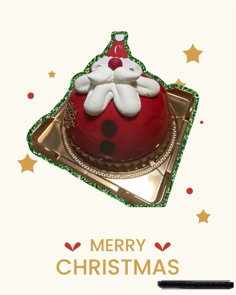 f:id:ion-33:20241225074135j:image
