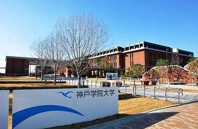 f:id:ioriri20:20200520072957j:plain