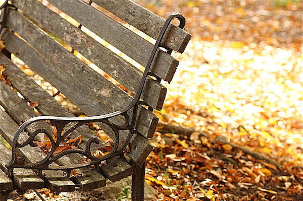 f:id:ioritorei:20211026203657j:image