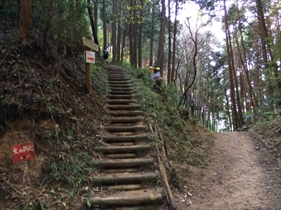 f:id:iparappa:20161115000343j:plain f:id:iparappa:20161115000343j:plain