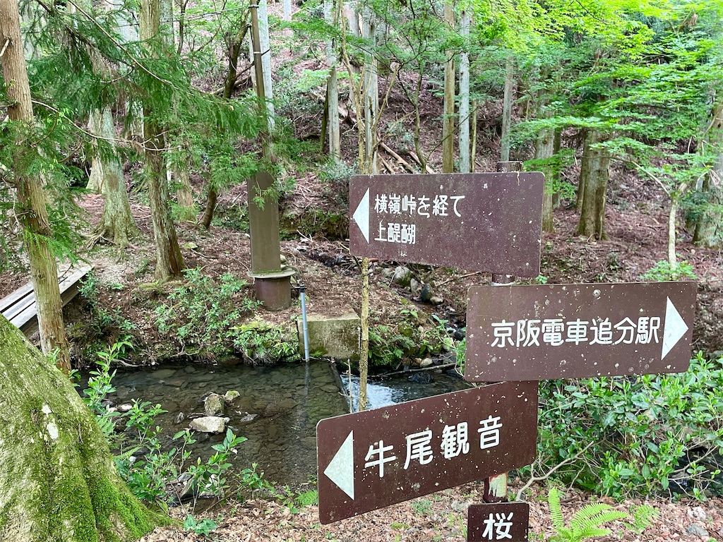 f:id:iparappa:20230507215135j:image