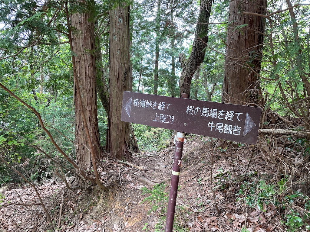 f:id:iparappa:20230507215157j:image