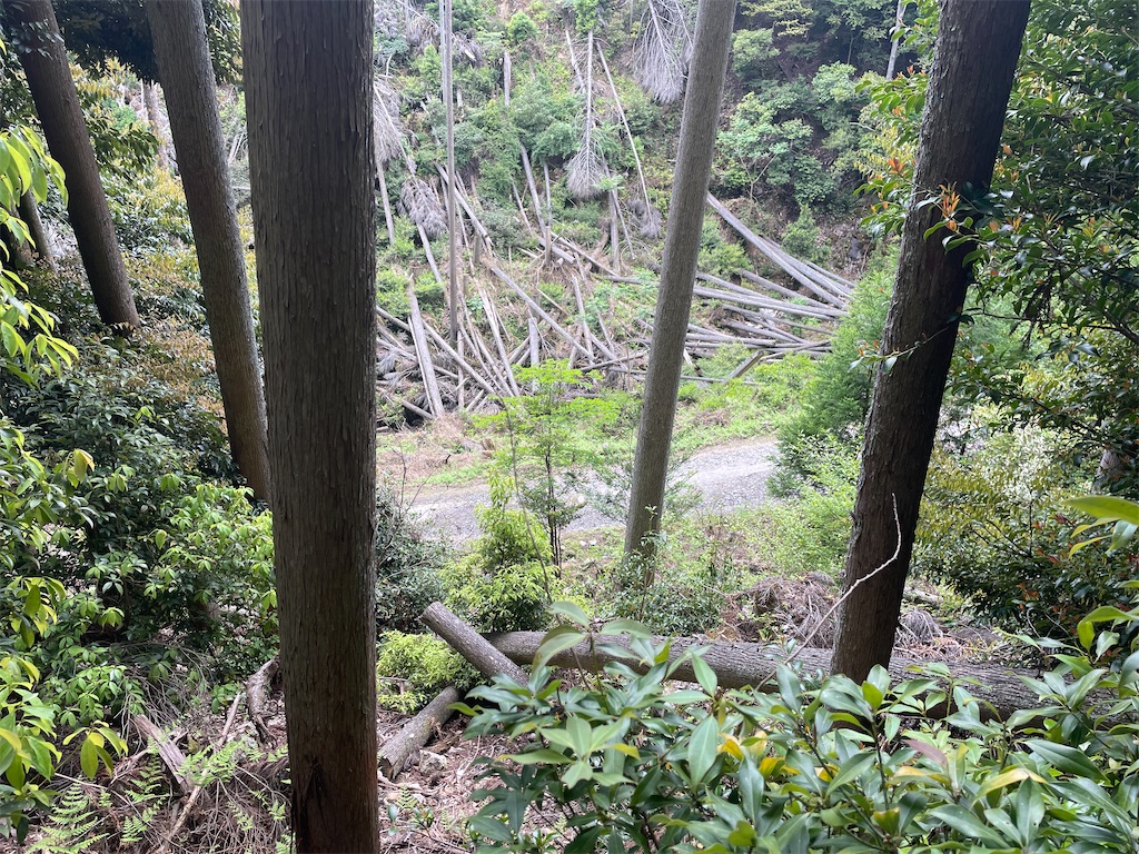 f:id:iparappa:20230507220640j:image
