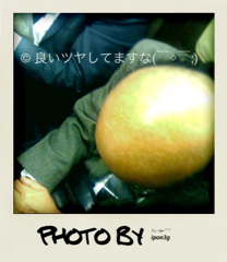 f:id:ipon3g:20100518201932j:image