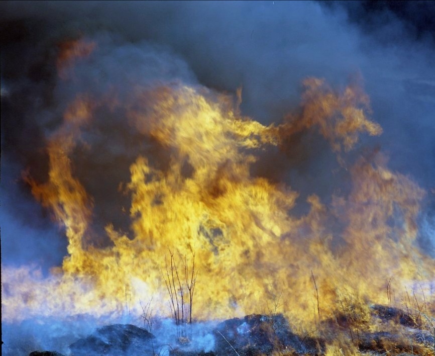 f:id:iponarrow0625:20190331233851j:plain