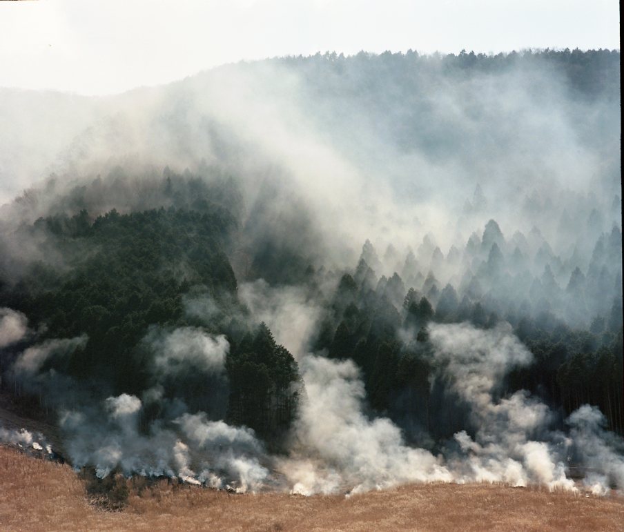 f:id:iponarrow0625:20190331233943j:plain