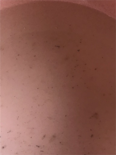 f:id:ippansan:20190518102601j:image f:id:ippansan:20190518102601j:image