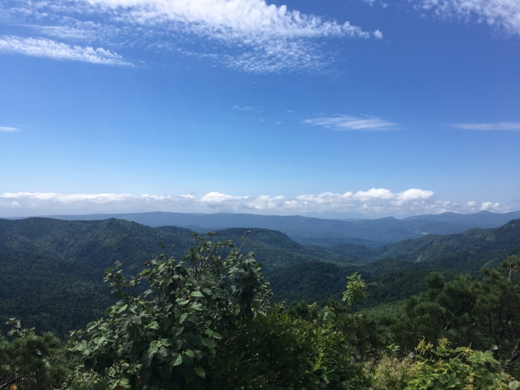f:id:ippeemasan:20170806224929j:plain