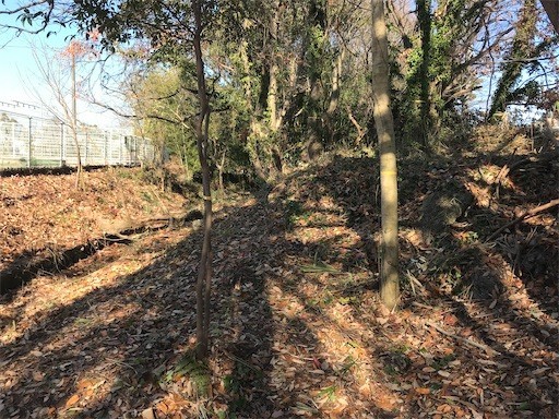 f:id:ippei-f55:20191228182019j:image