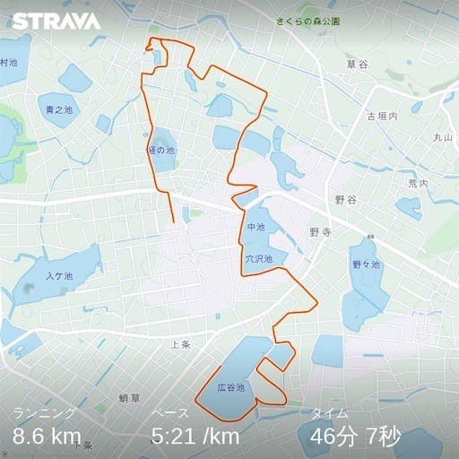 f:id:ippei-f55:20210605120530j:plain