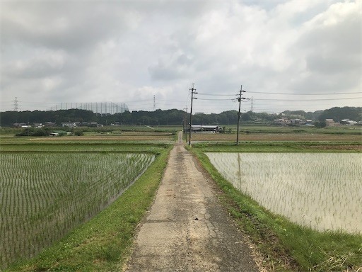 f:id:ippei-f55:20210605120536j:plain