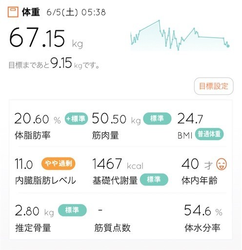 f:id:ippei-f55:20210605181421j:plain