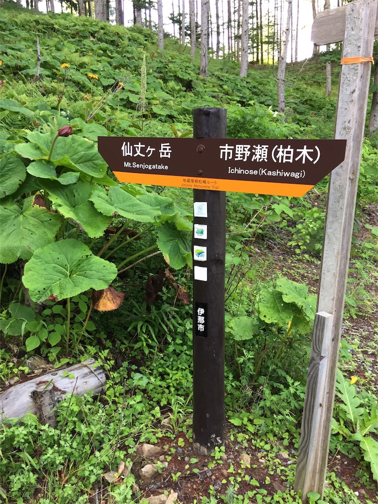 f:id:ippei66:20170901223027j:image f:id:ippei66:20170901223027j:image