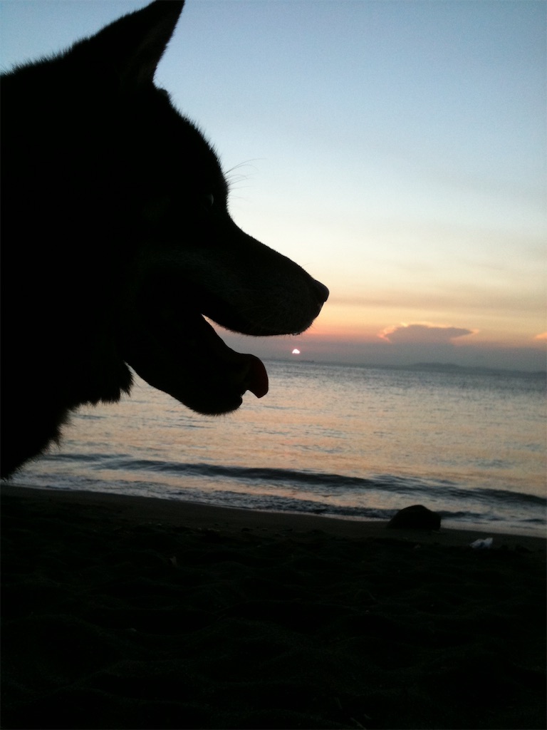 f:id:ippeyo:20170607084351j:image