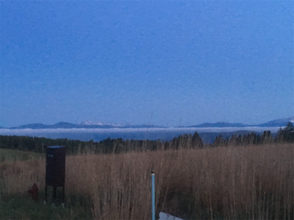 f:id:ippeyo:20170617133206j:image