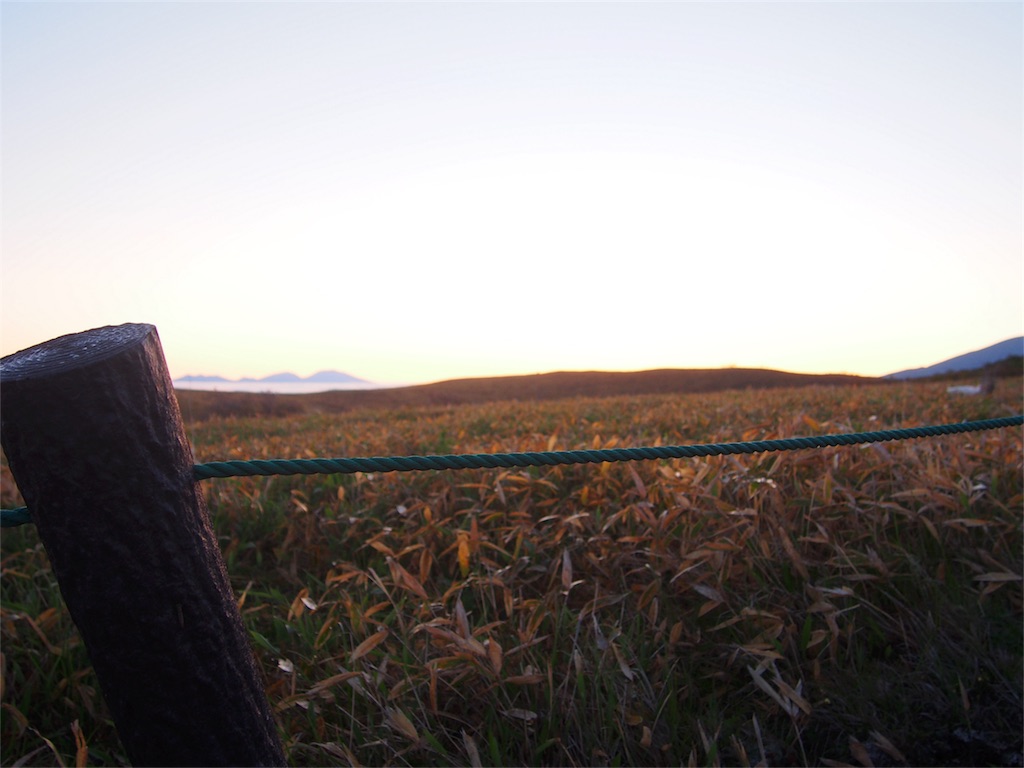 f:id:ippeyo:20170617133610j:image