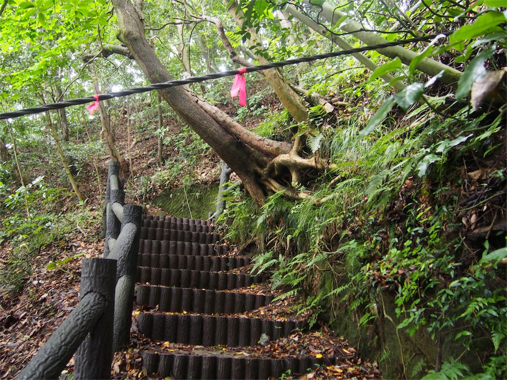 f:id:ippeyo:20170701130623j:image