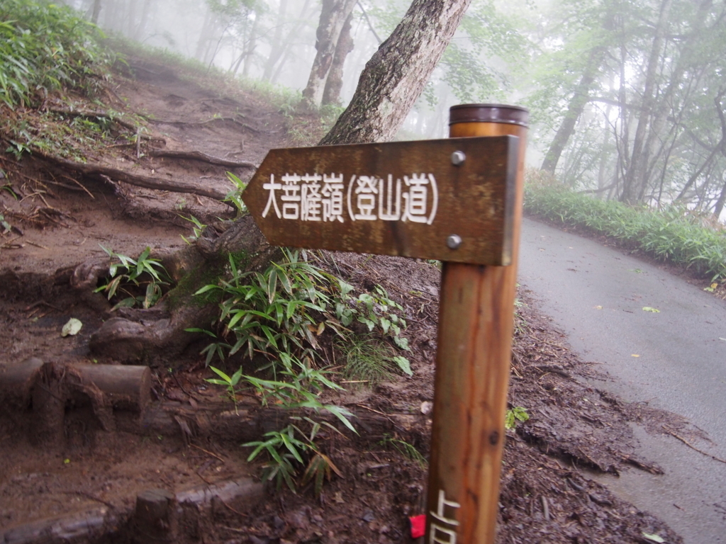 f:id:ippeyo:20170730224522j:plain