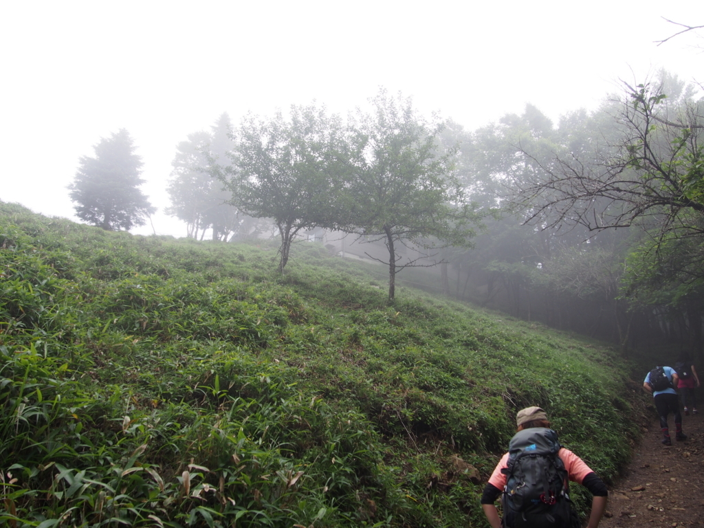 f:id:ippeyo:20170730225702j:plain