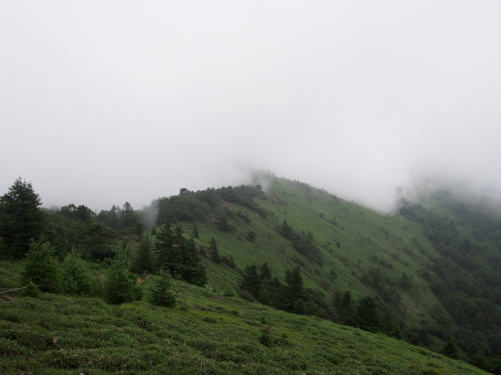 f:id:ippeyo:20170730233206j:plain