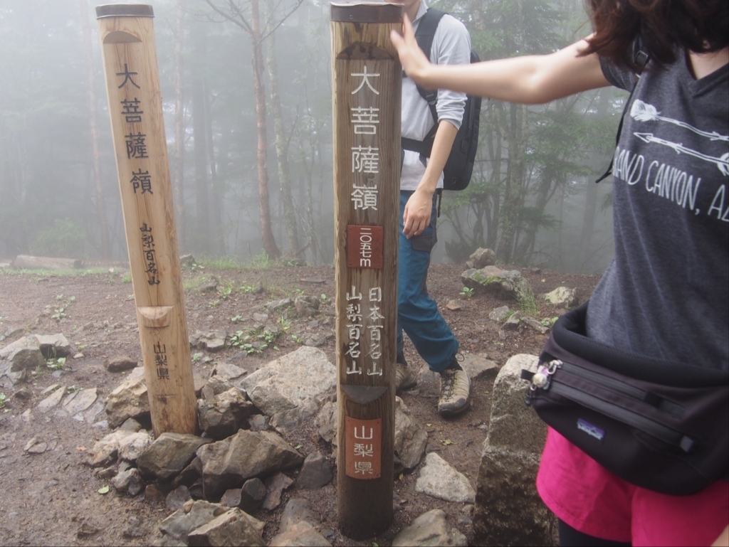 f:id:ippeyo:20170730233424j:plain