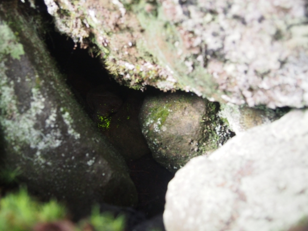 f:id:ippeyo:20170814013944j:plain