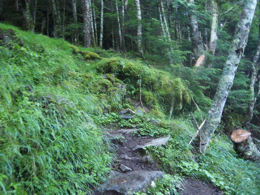 f:id:ippeyo:20170814014716j:plain