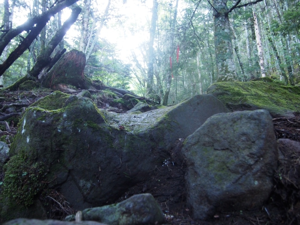 f:id:ippeyo:20170814014731j:plain