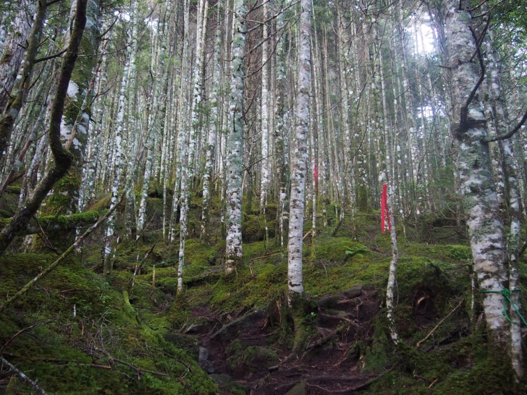 f:id:ippeyo:20170814014744j:plain