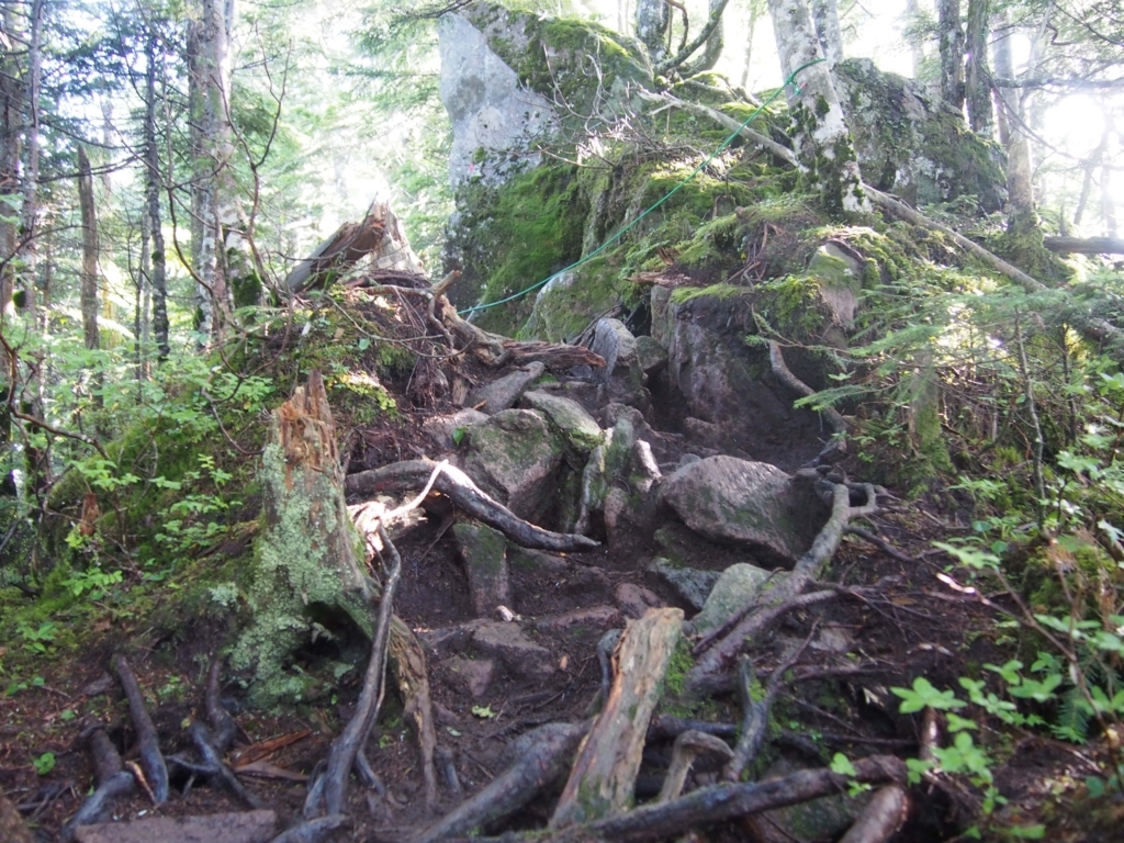 f:id:ippeyo:20170814015044j:plain