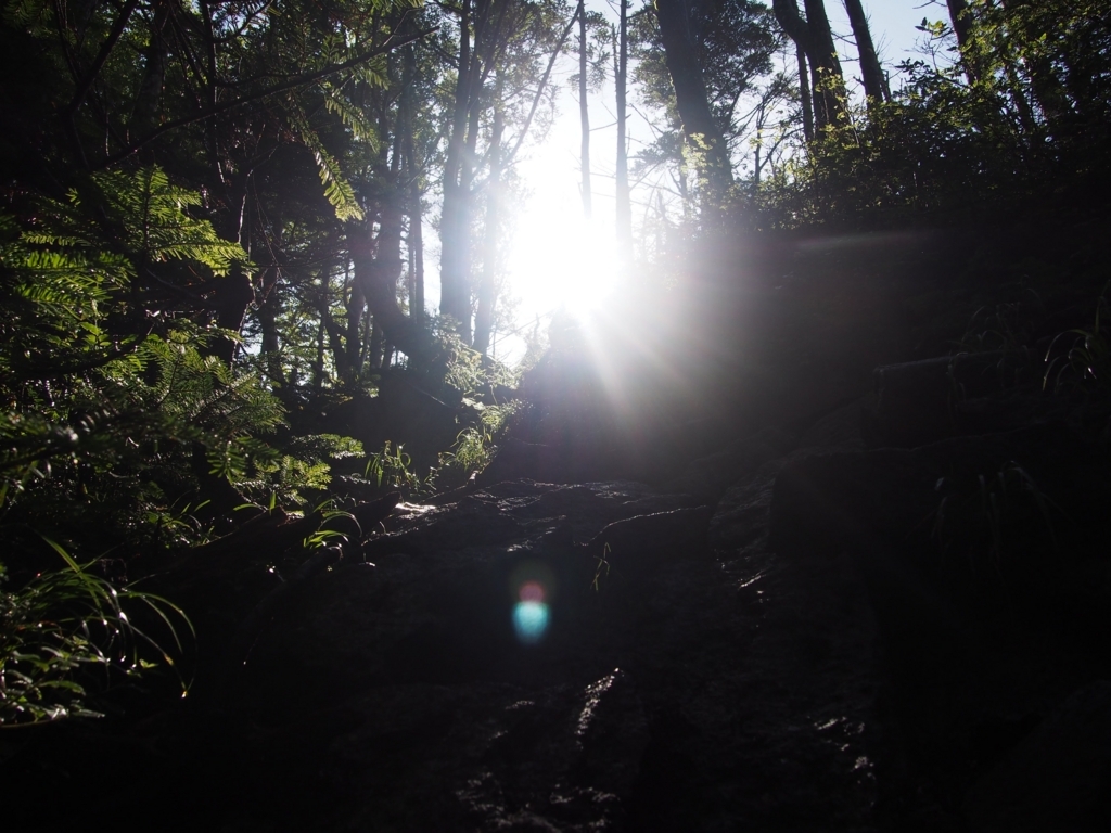 f:id:ippeyo:20170814015058j:plain