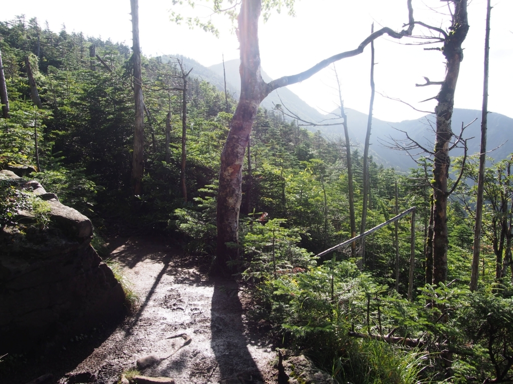 f:id:ippeyo:20170814015116j:plain