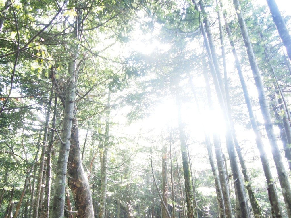 f:id:ippeyo:20170814015129j:plain