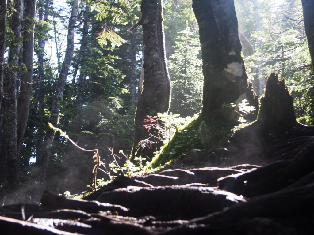 f:id:ippeyo:20170814015143j:plain