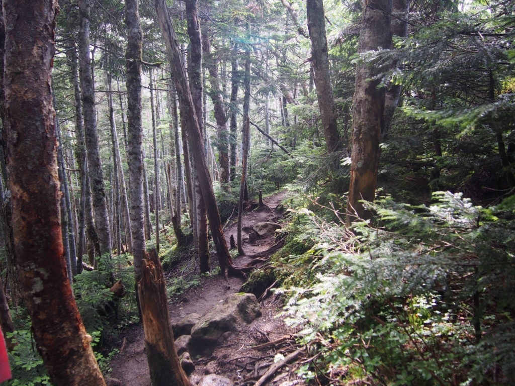 f:id:ippeyo:20170814015318j:plain