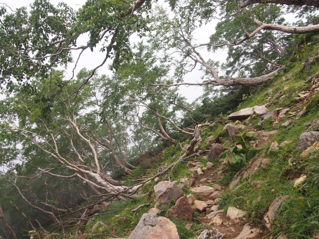 f:id:ippeyo:20170818235100j:plain