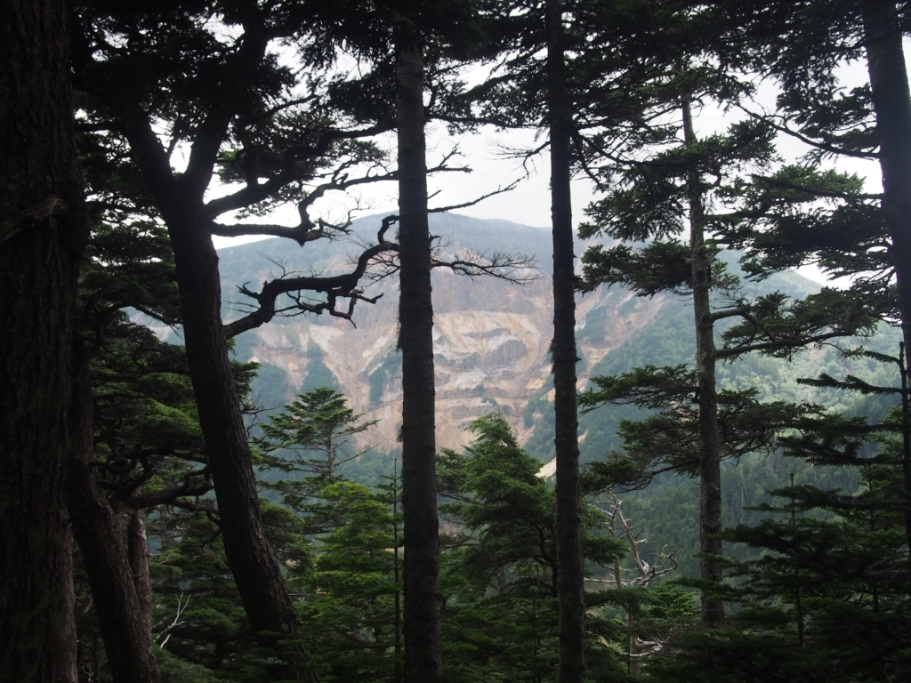 f:id:ippeyo:20170818235209j:plain