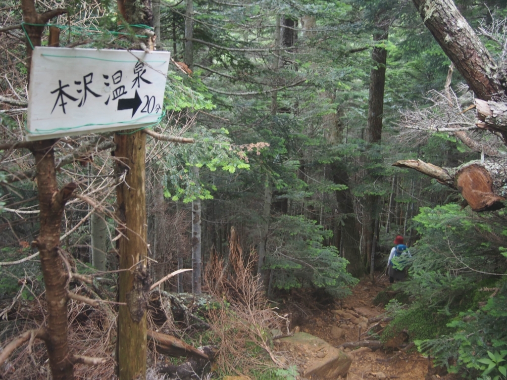 f:id:ippeyo:20170818235235j:plain