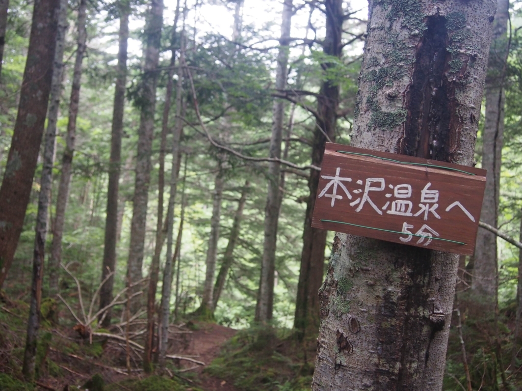 f:id:ippeyo:20170818235353j:plain