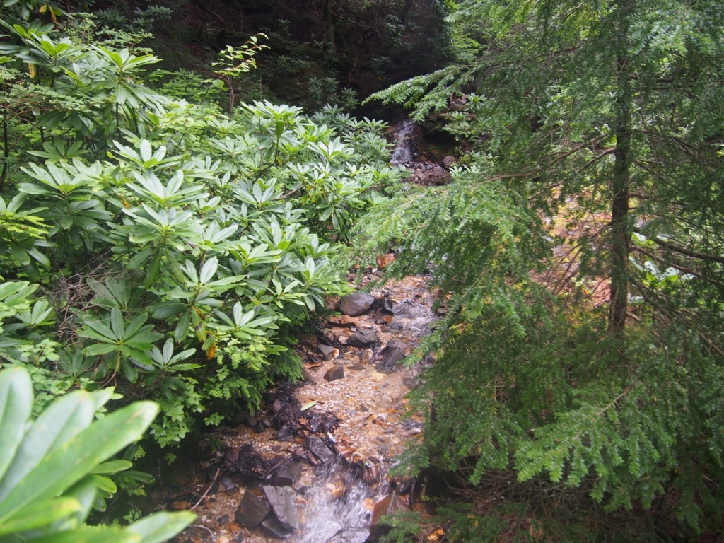 f:id:ippeyo:20170818235433j:plain