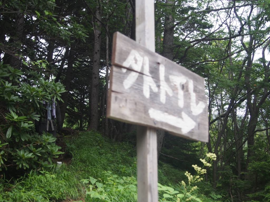 f:id:ippeyo:20170818235931j:plain