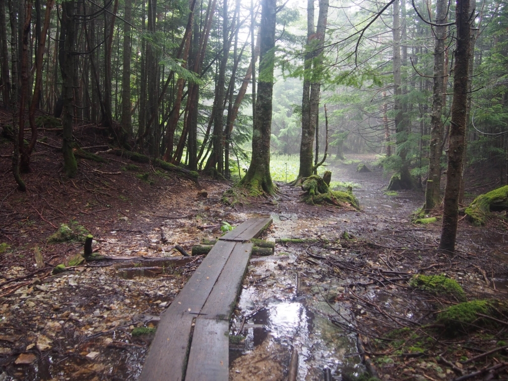 f:id:ippeyo:20170819000947j:plain