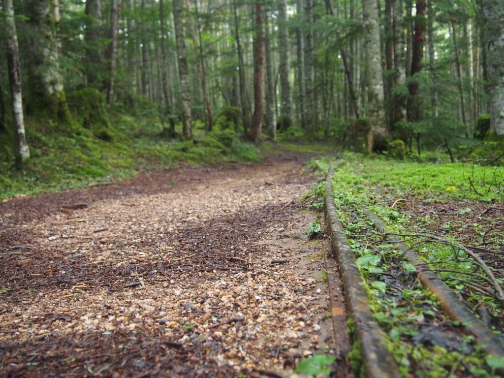 f:id:ippeyo:20170819001030j:plain